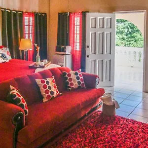 Homestay 876 Ja Oasis & - By Airport, Kingston