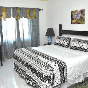 Apartment Embassy Deluxe, Kingston
