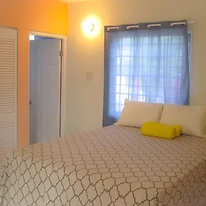 Homestay Camelia, Kingston